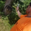 Ax and knife throwing
