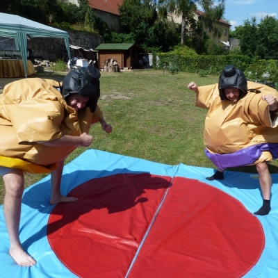 Sumo ring