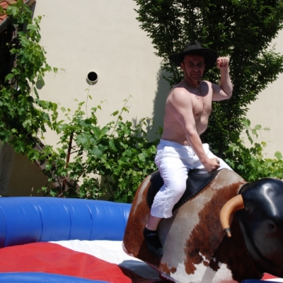 RODEO BULL