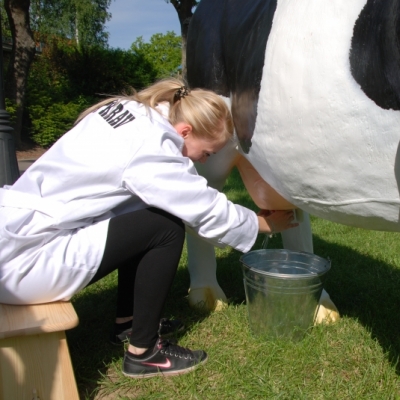 MILKING SIMULATOR