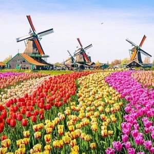 5-denní zájezd do Holandska