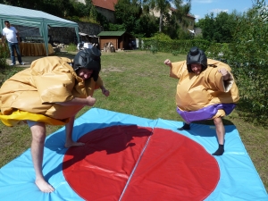 Sumo ring